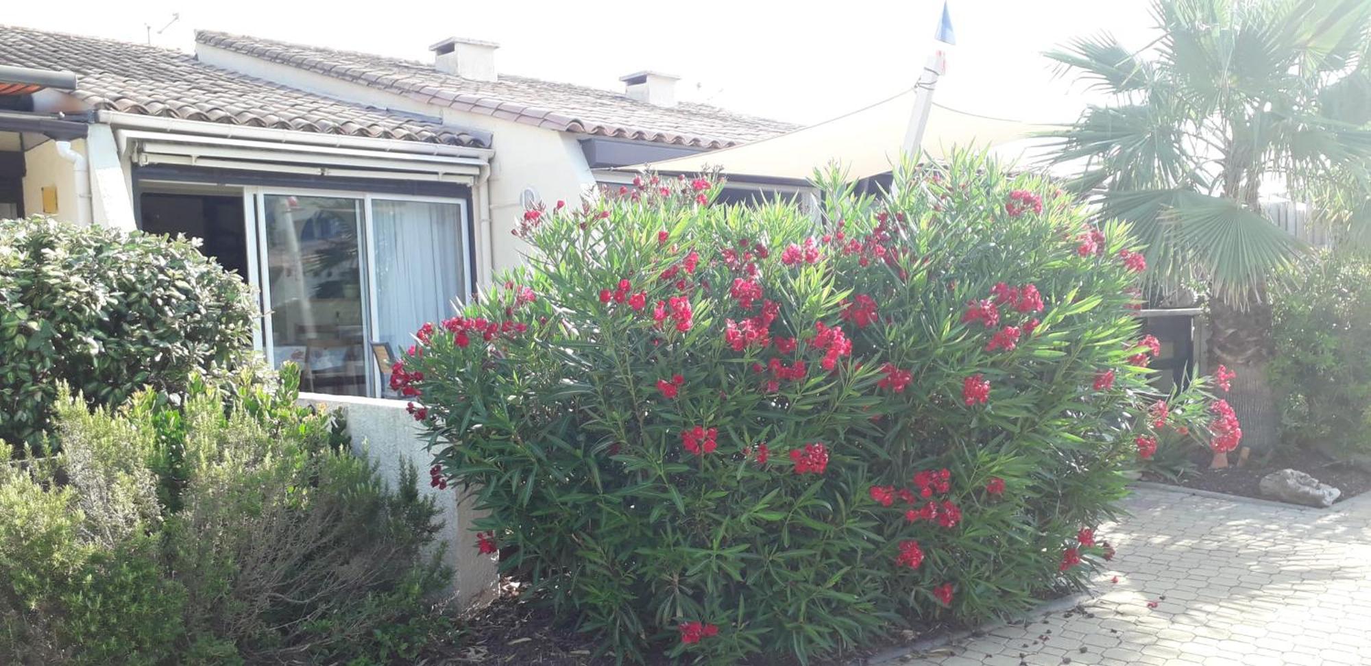 Naturiste Cap D'Agde Villa Heliovillage 58 Bagian luar foto